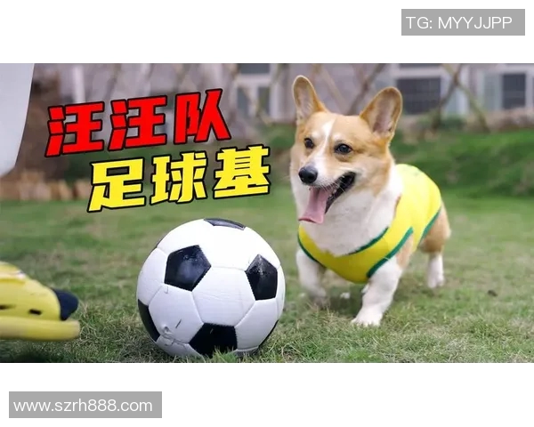 足球明星们的宠物生活揭秘看他们如何与爱犬共度时光