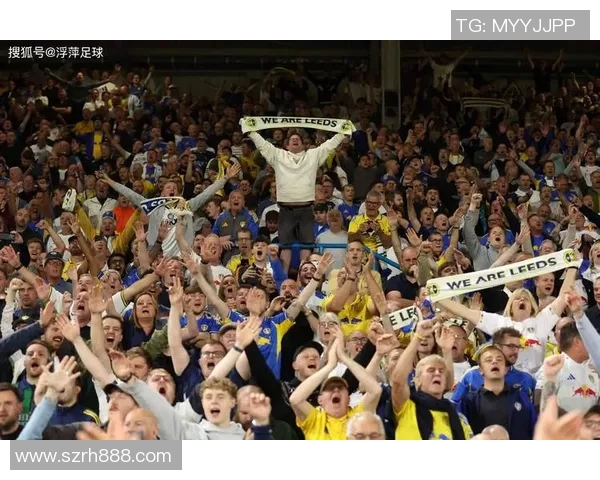 球场英豪风采录论足球明星之风华与成就